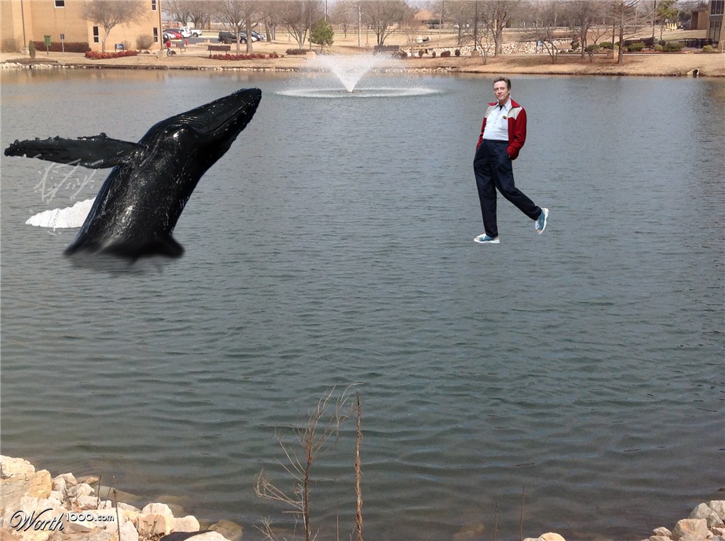 Walken walking on water with a whale
