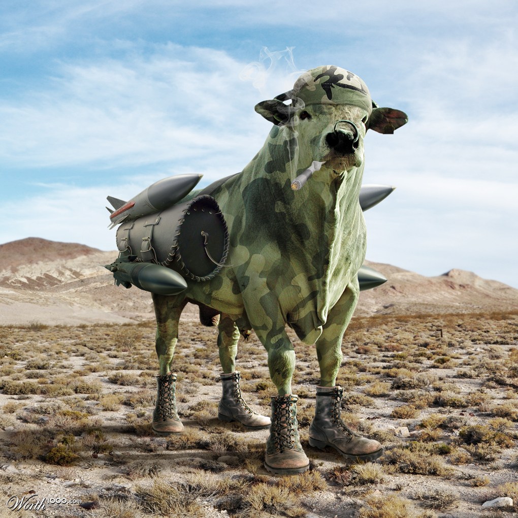 Army bull