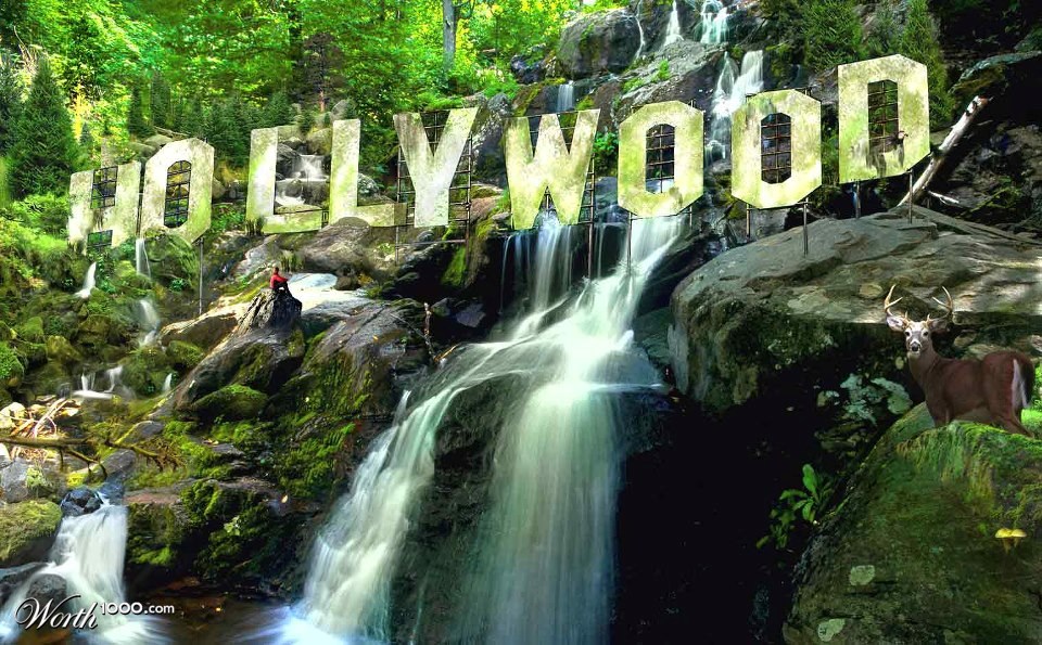 Secluded Hollywood Hills