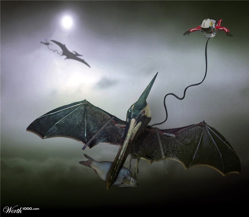 Pterodactyl Rides