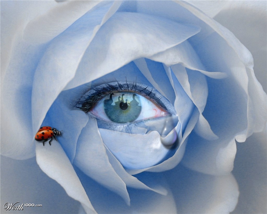 Nature's Eye