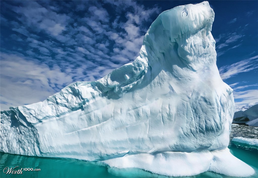 FROZEN SEAL?