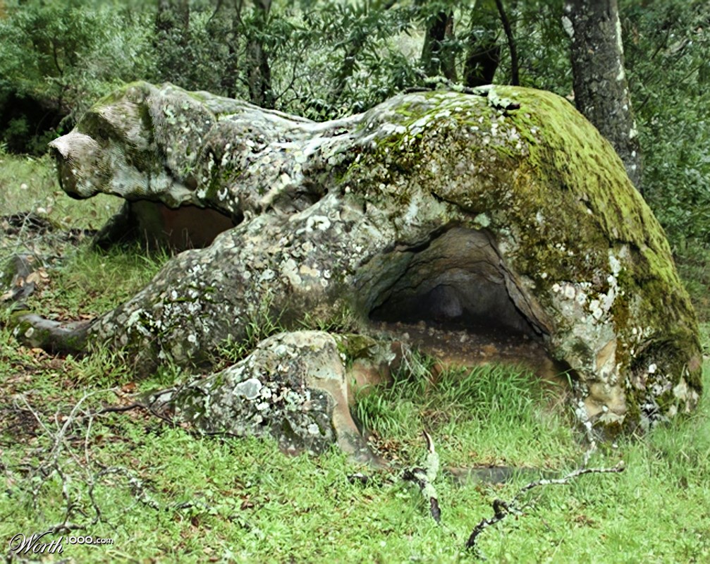 barking rock