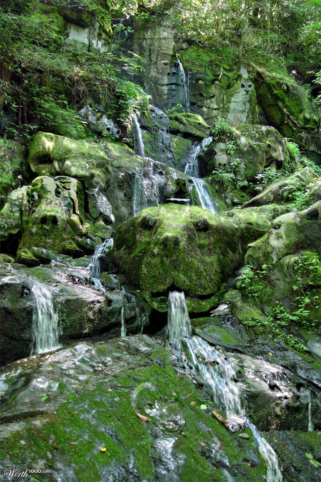 Critter Falls