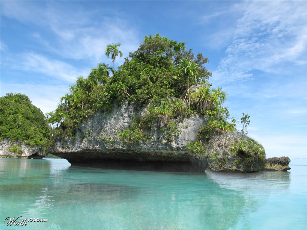 turtle island