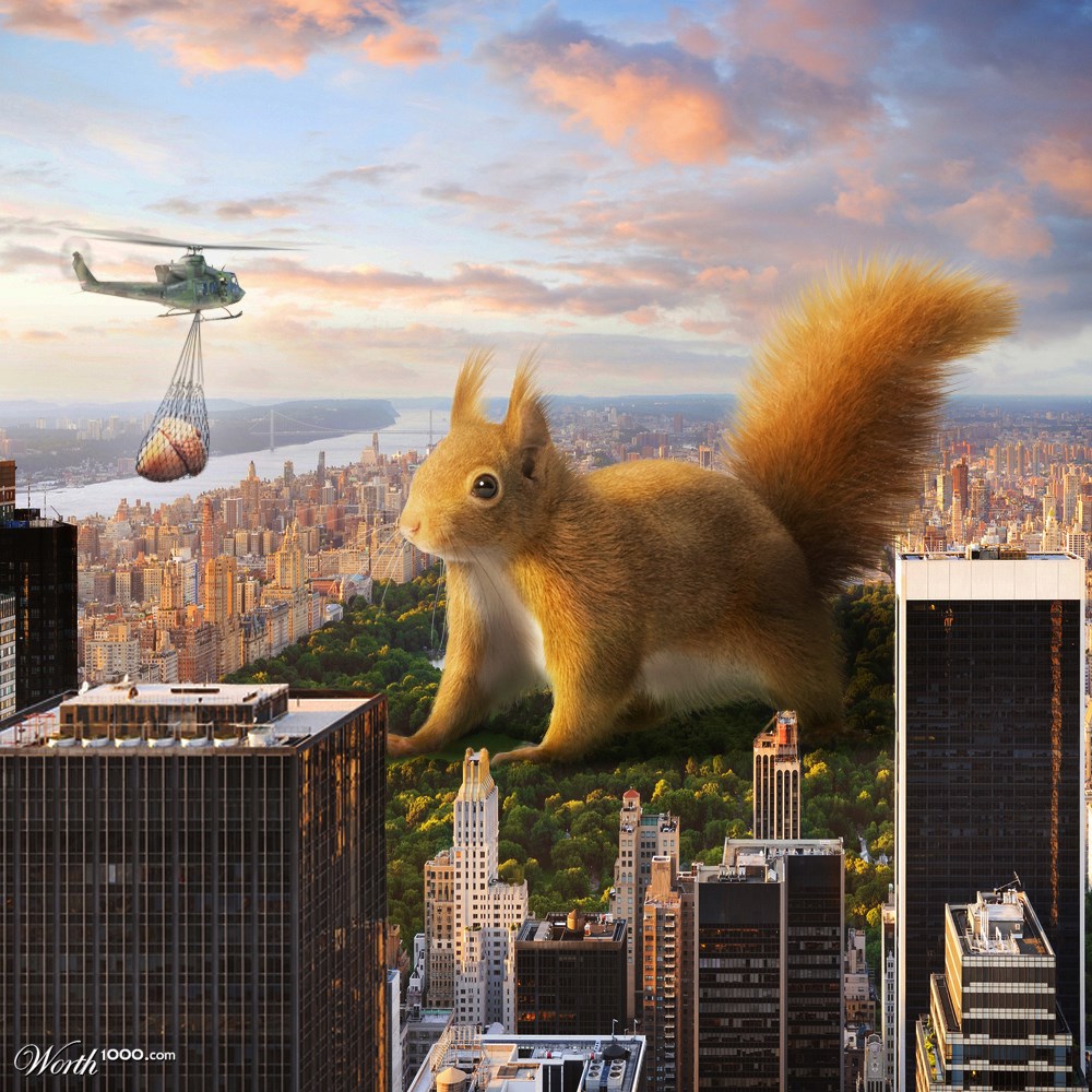 Central Park Squirrel