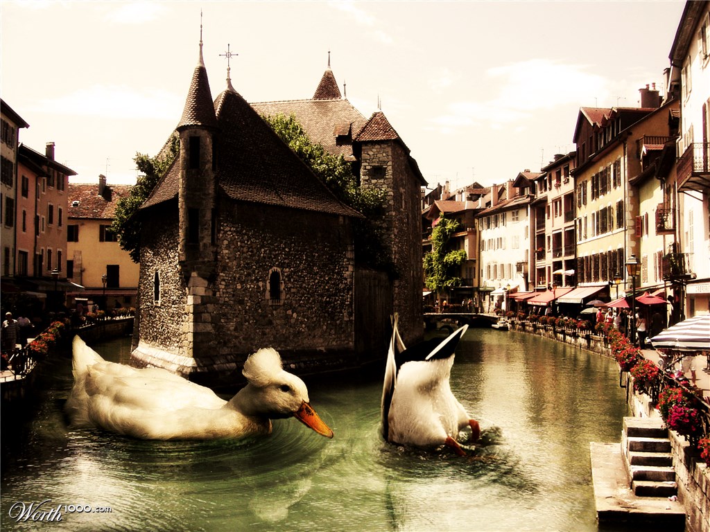 Giant Duck