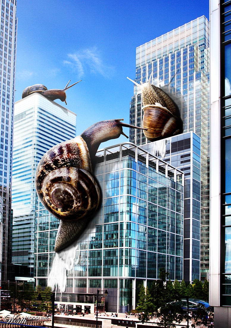 Giant Snails