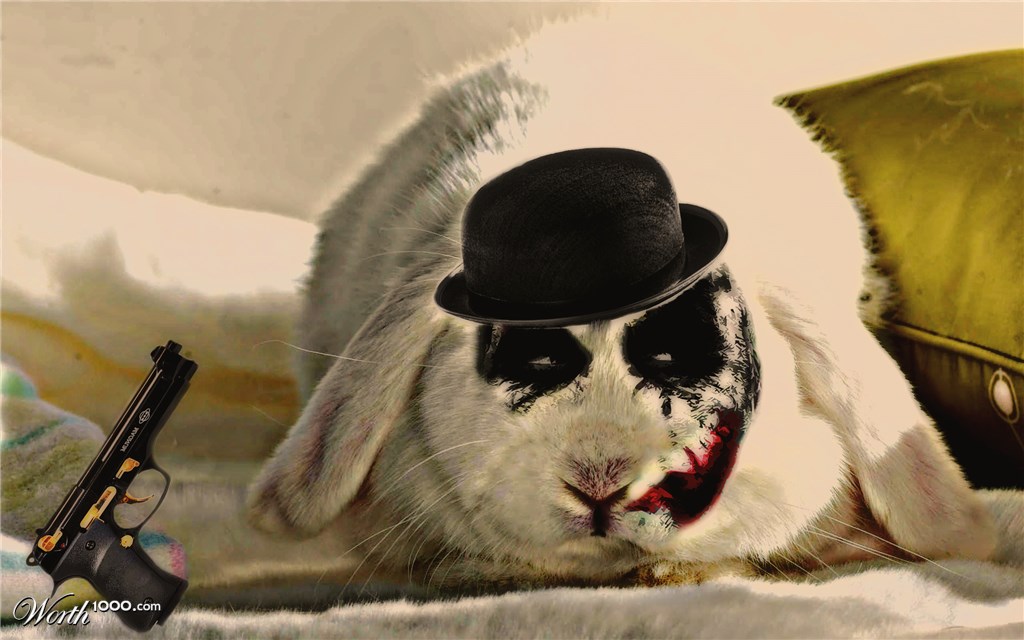 DON BUNNY