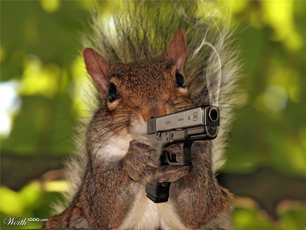 Bad chipmunk