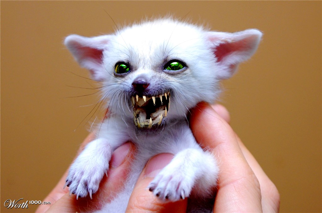 So cute....
