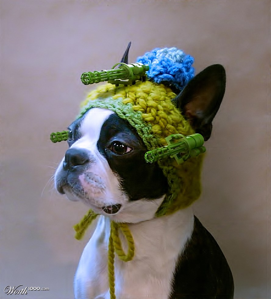 Dog