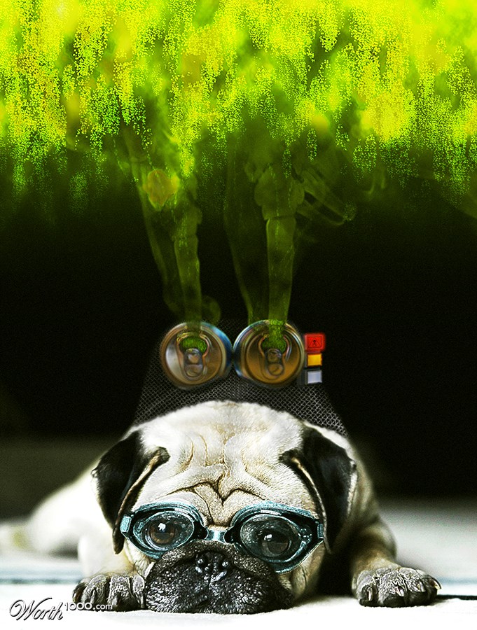 Poisonous Doggy