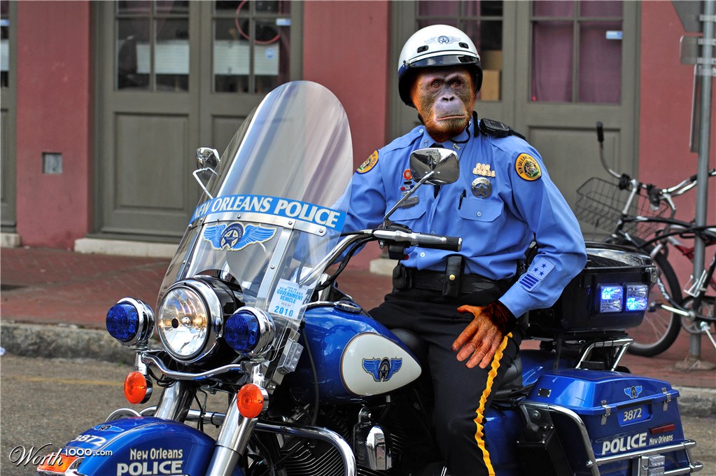 Cop
