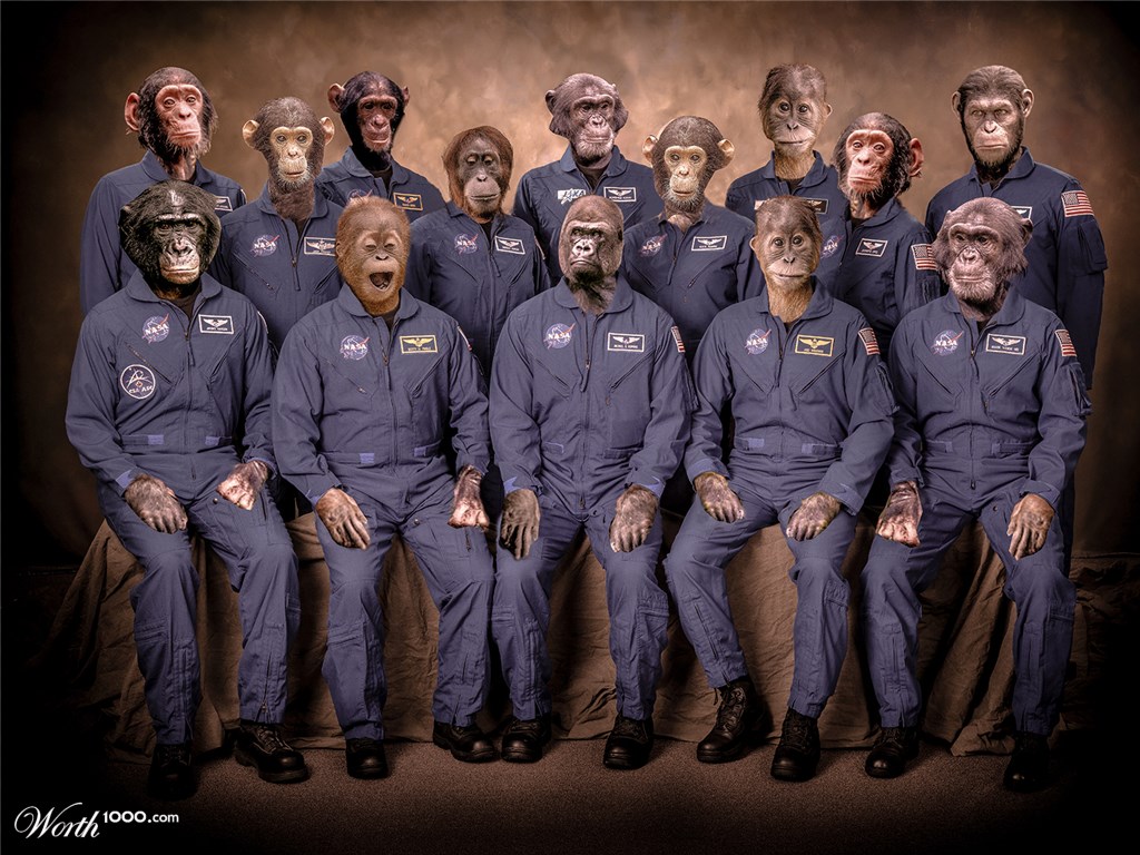 apes astronaut