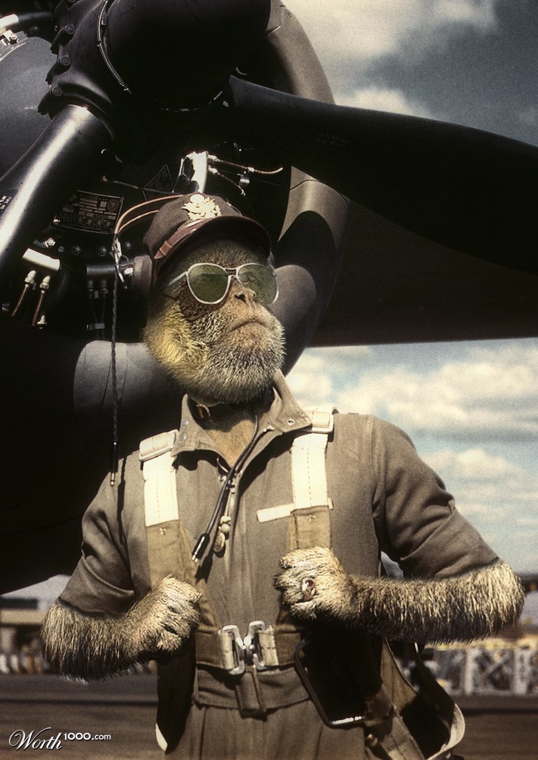 The Aviator