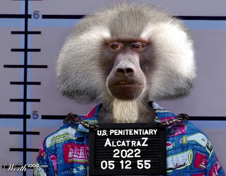 I'm Innocent!