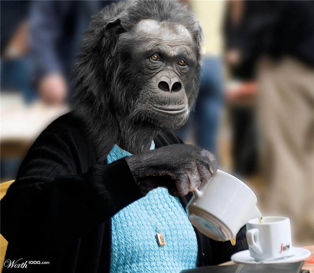 Tea At The Mall