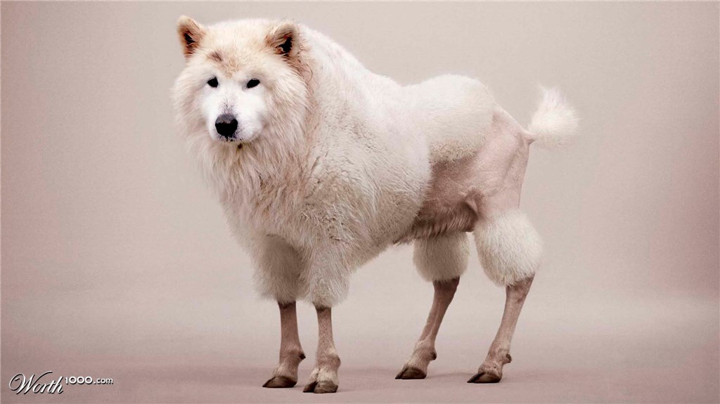 Good haircut
