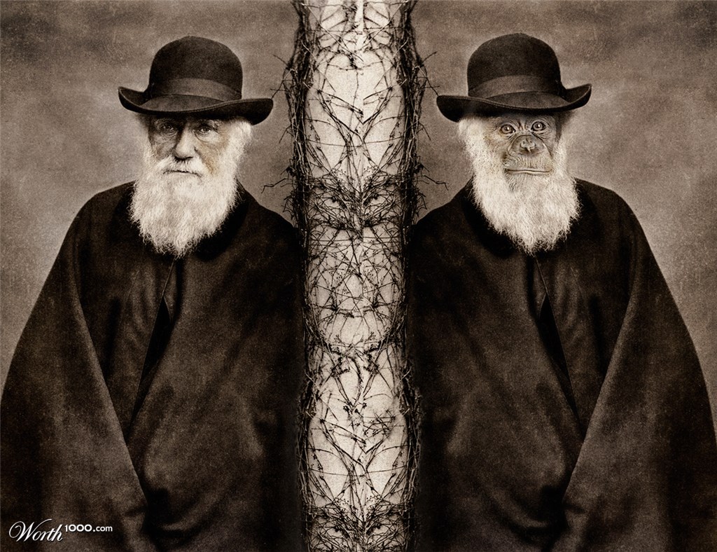 Darwin vs Monkey