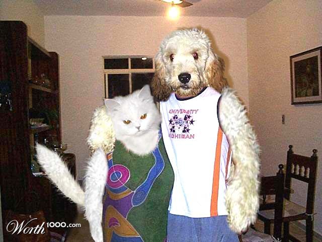 Friends Forever