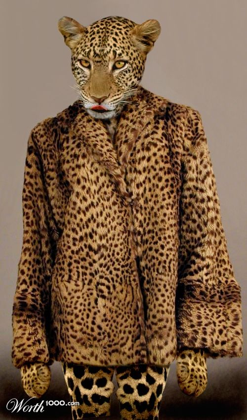 Leopard Fashion