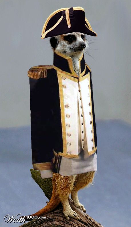 General Meer