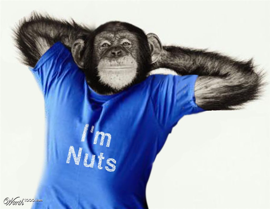 modelling monkey
