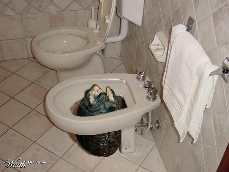 Out of this world bidet