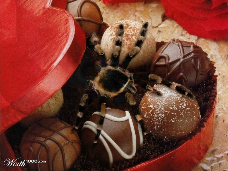 sweet treat