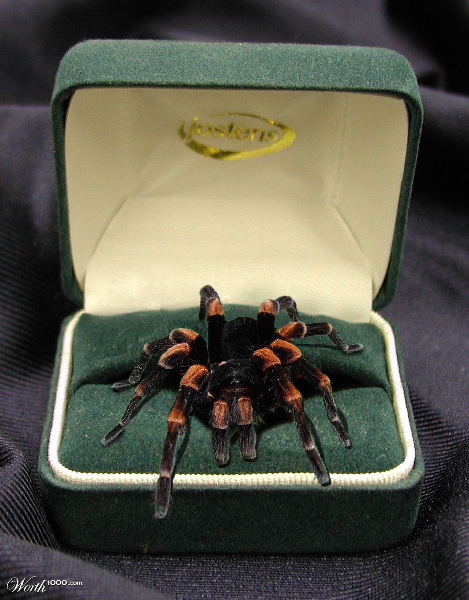 Tarantula