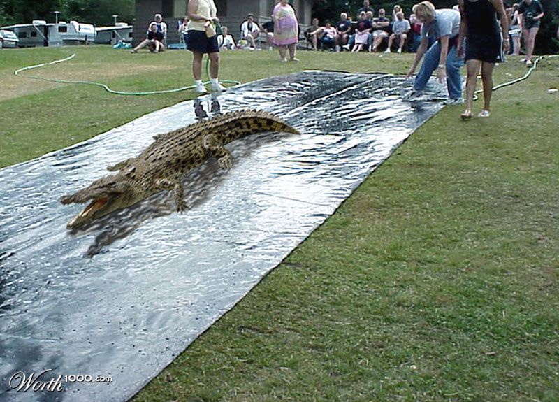 slipnslide gator