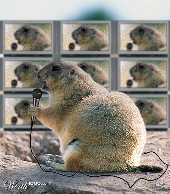 Singing Prairiedog