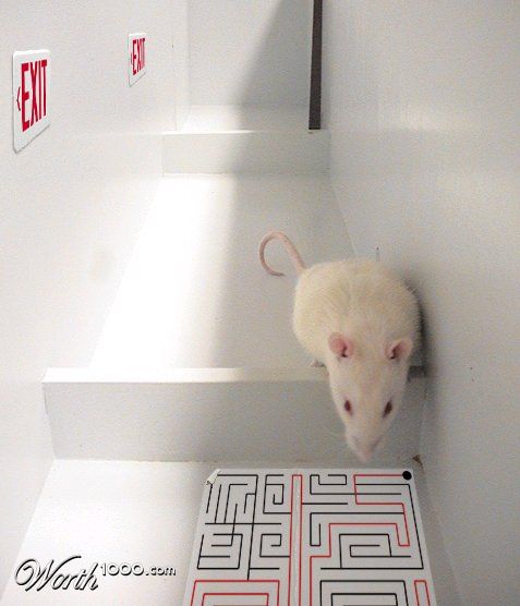 Exit
