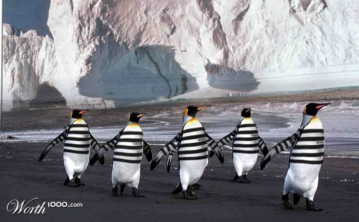 prisoners