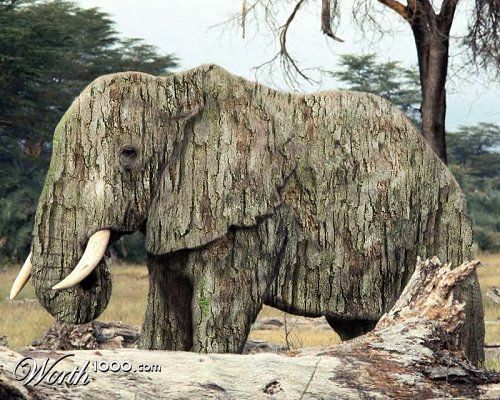 Treelephant