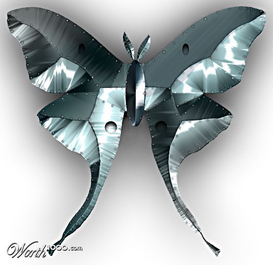 Metal Moth