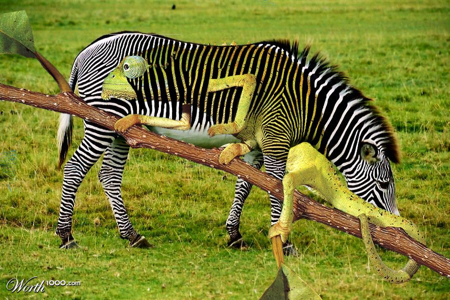 Chameleon Ultra