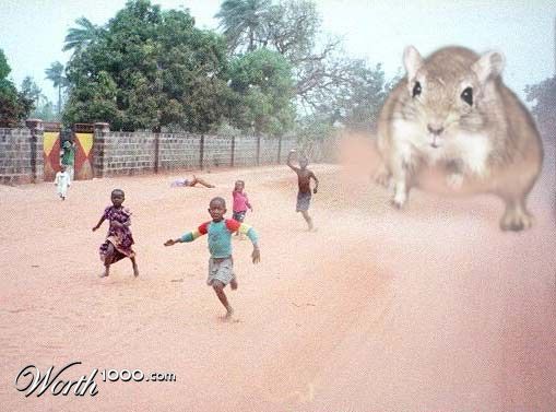 RUN!!