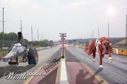 GreyHound Vs. Dragster