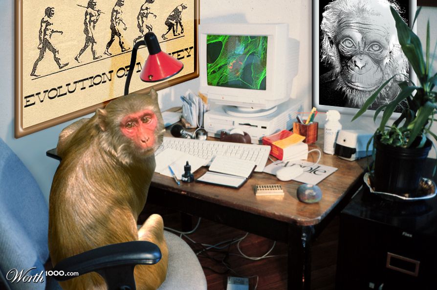monkey genious