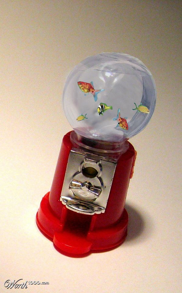 fish dispenser