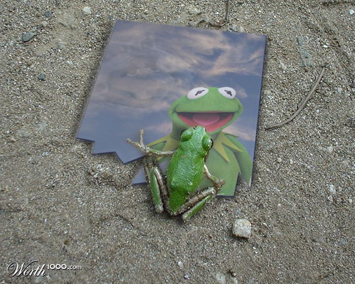 Frog in the mirror