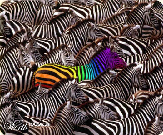 Technicolor zebra