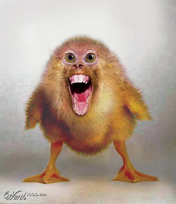 Apechick