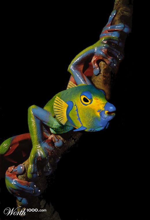 Amphishbian