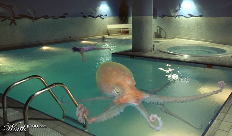 Health Club Membership