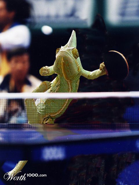chameleon-pong