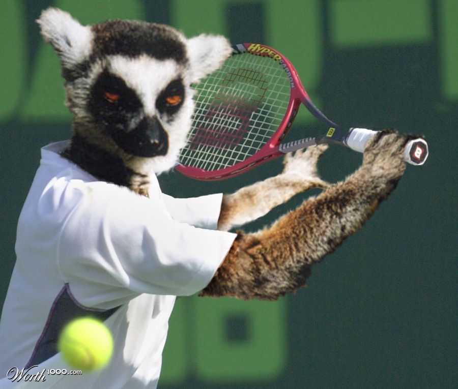 Lemur Tennis