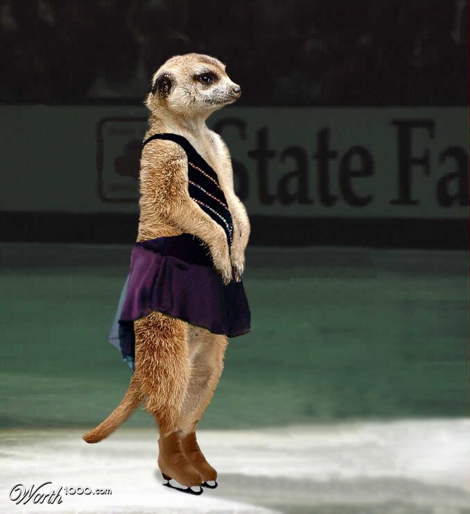 Figure Skating